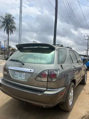Lexus RX 300 2WD 2004 Silver