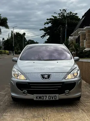 Peugeot 307 2007 Silver