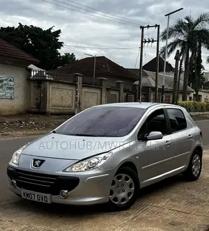 Peugeot 307 2007 Silver