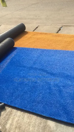 Carpet Grass in Abuja