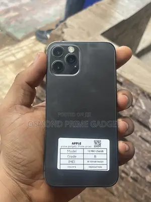 Apple iPhone 12 Pro 256 GB Black