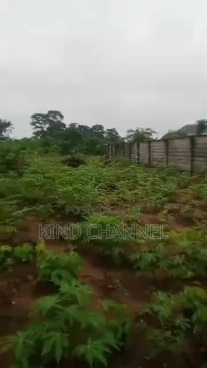 2 Plots of Land at Mgbirichi