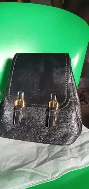 Luxurious Back Pack
