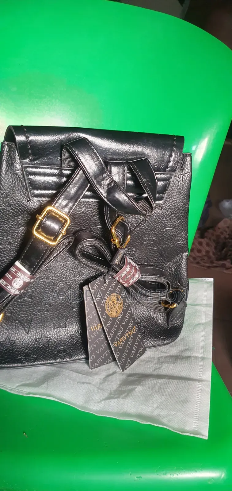 Luxurious Back Pack
