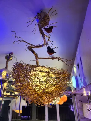 Norice Nest Light