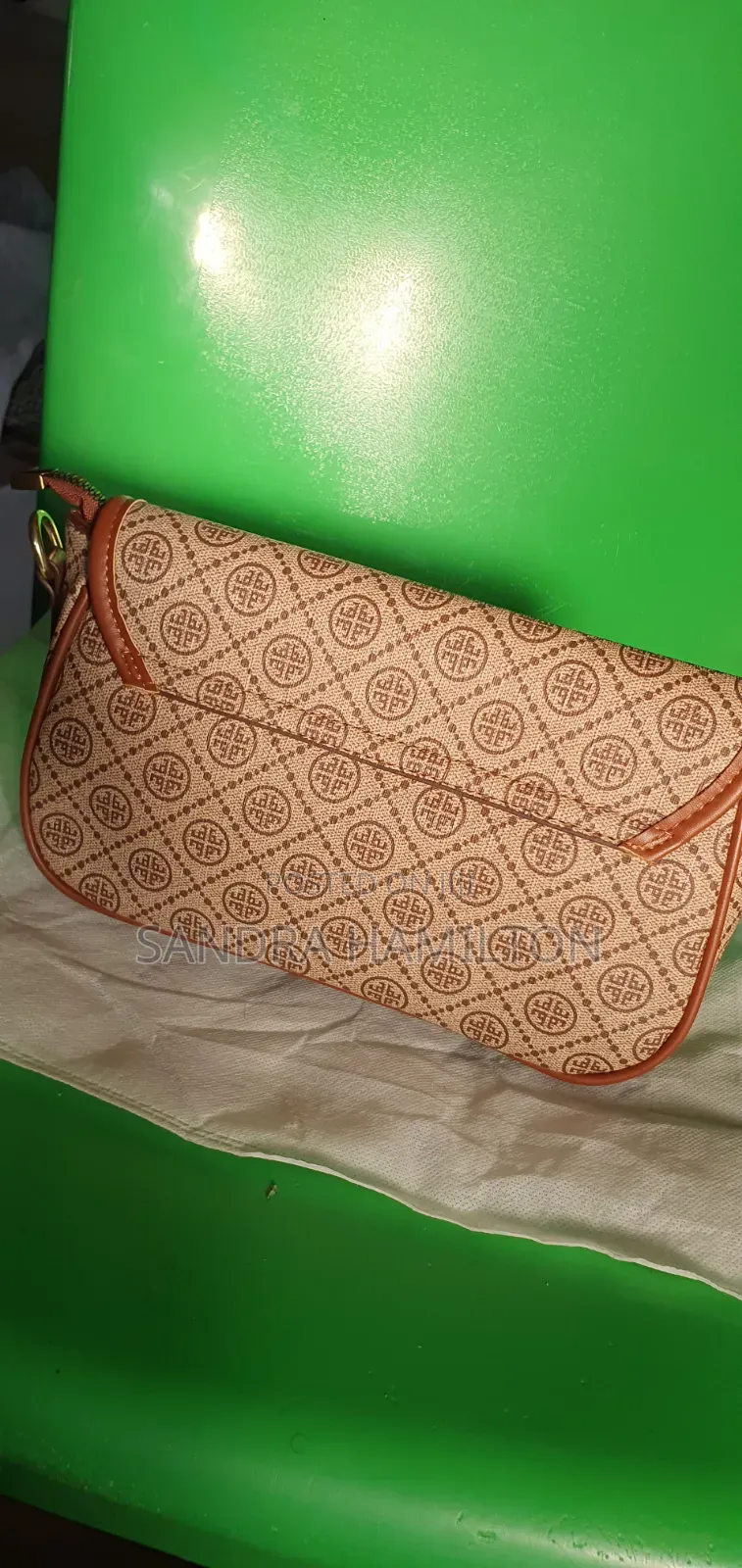 Chic Handbag for Ladies