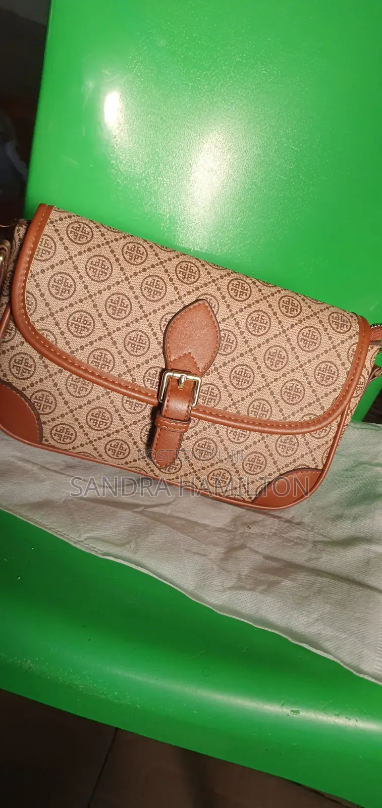 Chic Handbag for Ladies