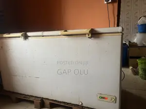 2 Door Refrigerator