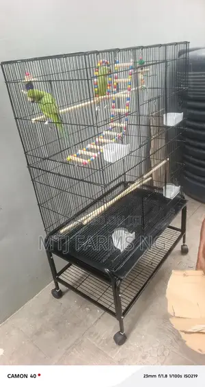 Cages for All Type of Birds Are Available