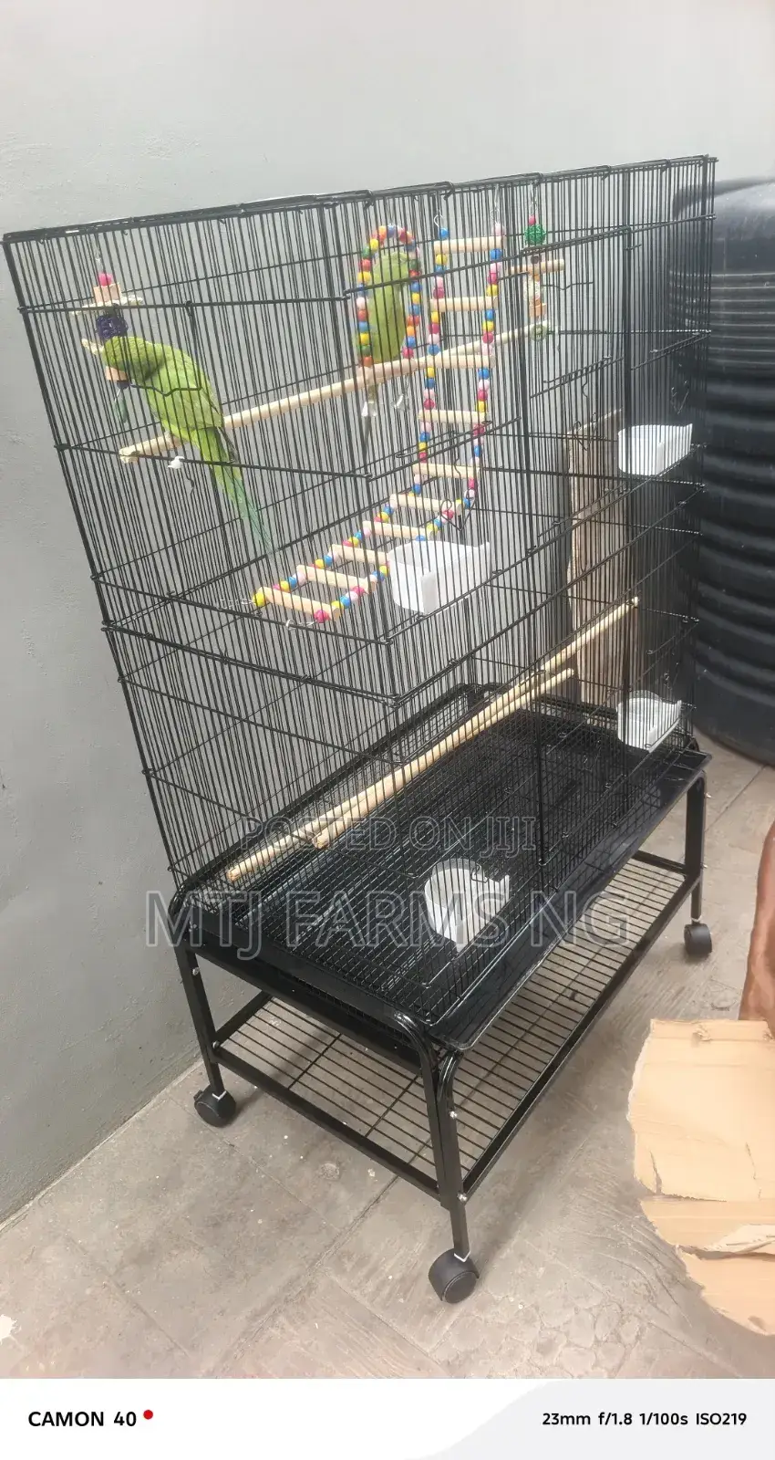 Cages for All Type of Birds Are Available