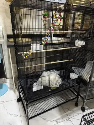 Cages for All Type of Birds Are Available