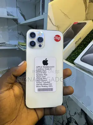 Apple iPhone 12 Pro Max 256 GB White