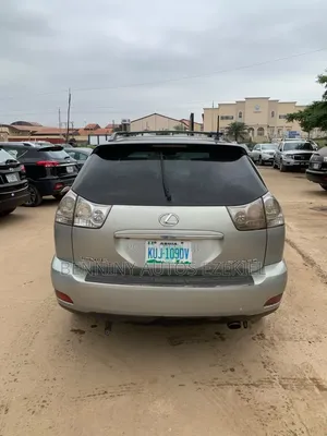 Lexus RX 2008 Gray
