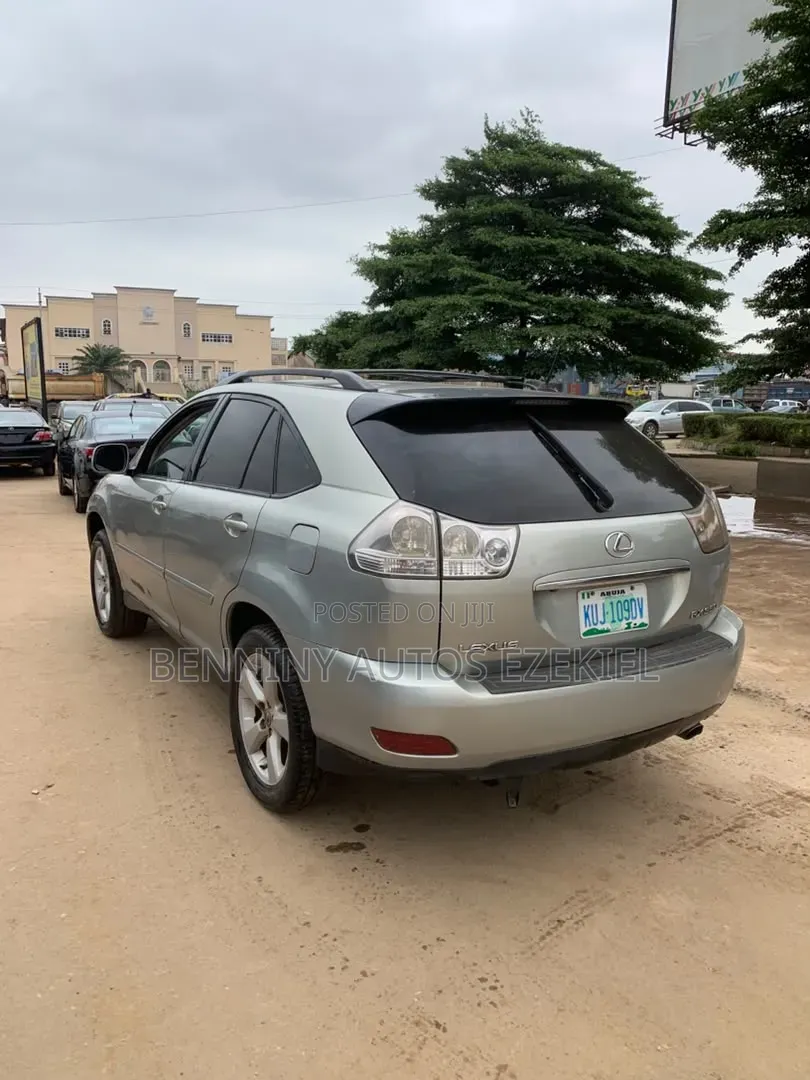 Lexus RX 2008 Gray