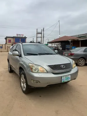Lexus RX 2008 Gray