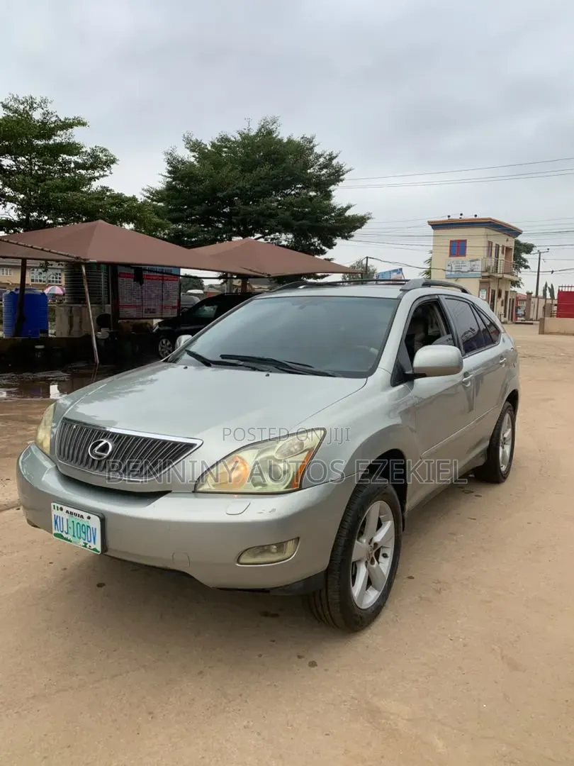 Lexus RX 2008 Gray