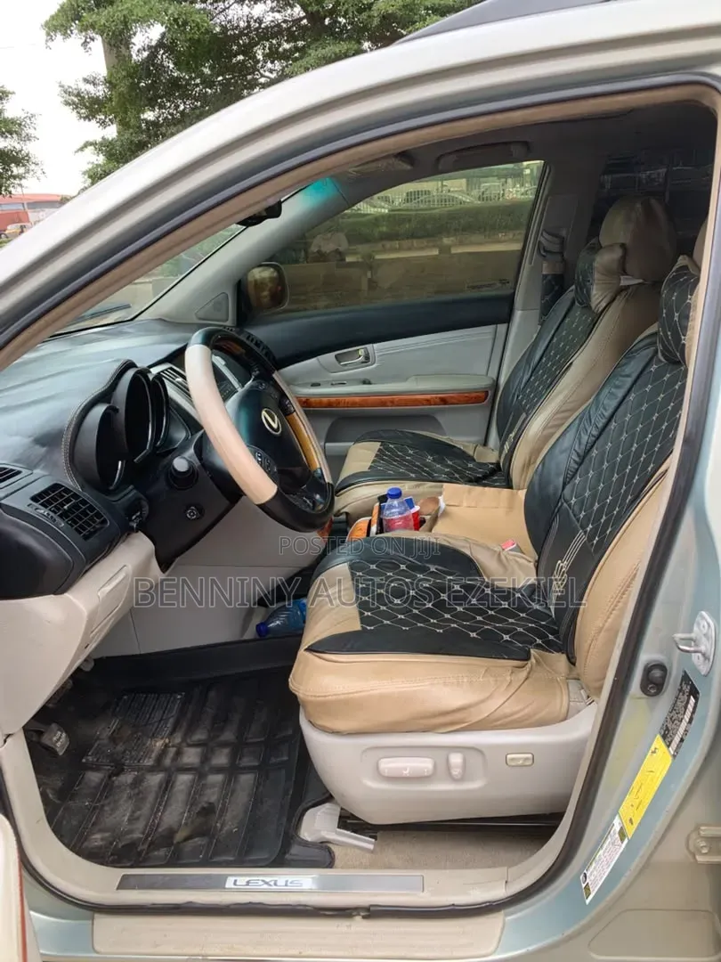 Lexus RX 2008 Gray