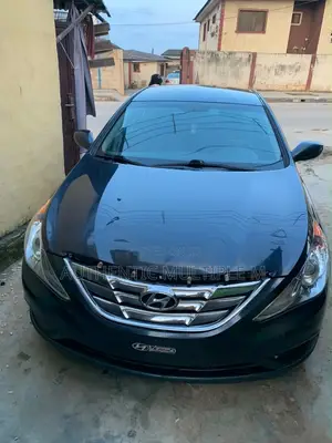Hyundai Sonata 2010 Blue