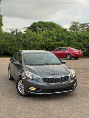 Kia Rio 2014 Gray