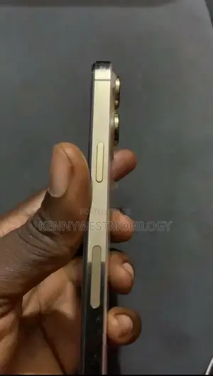 Apple iPhone 14 Pro Max 128 GB White