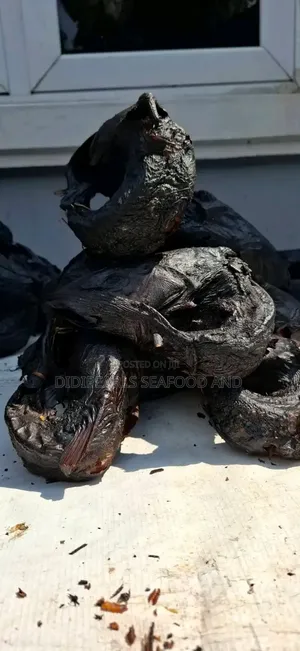 Inagha Fish / Obokun