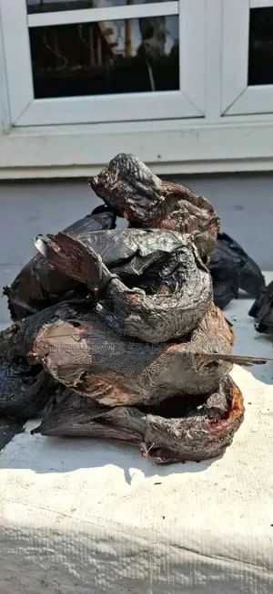 Inagha Fish / Obokun