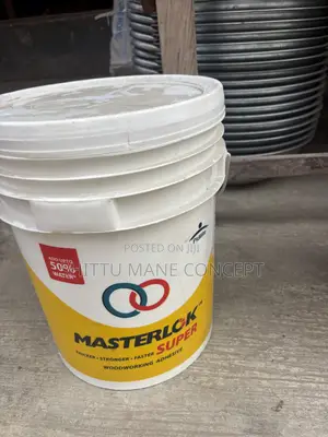 Pidilite Masterlok Adhesive 20kg