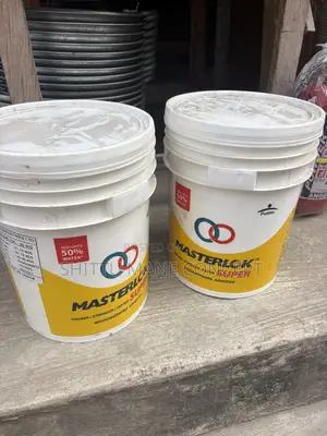Pidilite Masterlok Adhesive 20kg