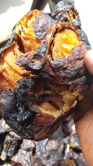 Ecomock/ Bargi Mangala