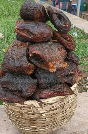 Ecomock/ Bargi Mangala