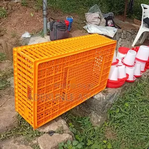 Transfer Cages for Poultry for Sale