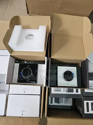 Tundra 4inches Bluetooth Wall Amplifier