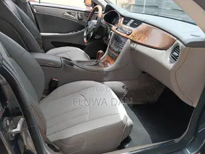 Mercedes-Benz CLS 2005 Gray