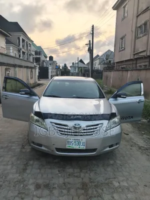 Toyota Camry XLE 4dr Sedan (2.4L 4cyl 5A) 2009 Silver