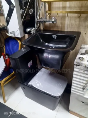 Black Water Closet With Wall Hang Basin