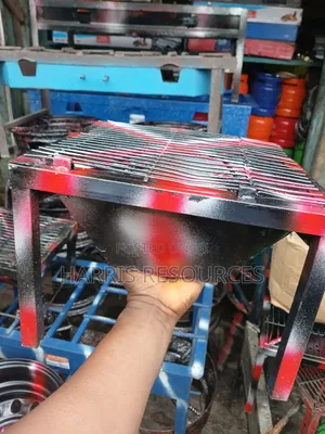 Charcoal Barbecue Grill and Mesh Roaster,