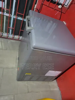 Thermocool Inverter 219l