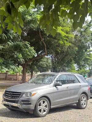 Mercedes-Benz M Class 2013 Gray