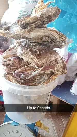 Stockfish Cutlt