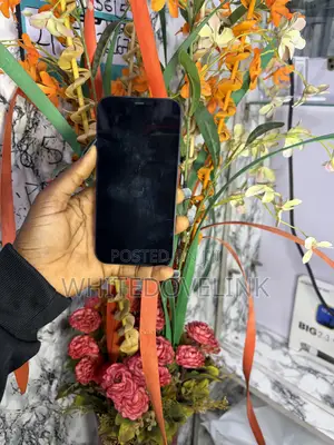 Apple iPhone 12 64 GB Black