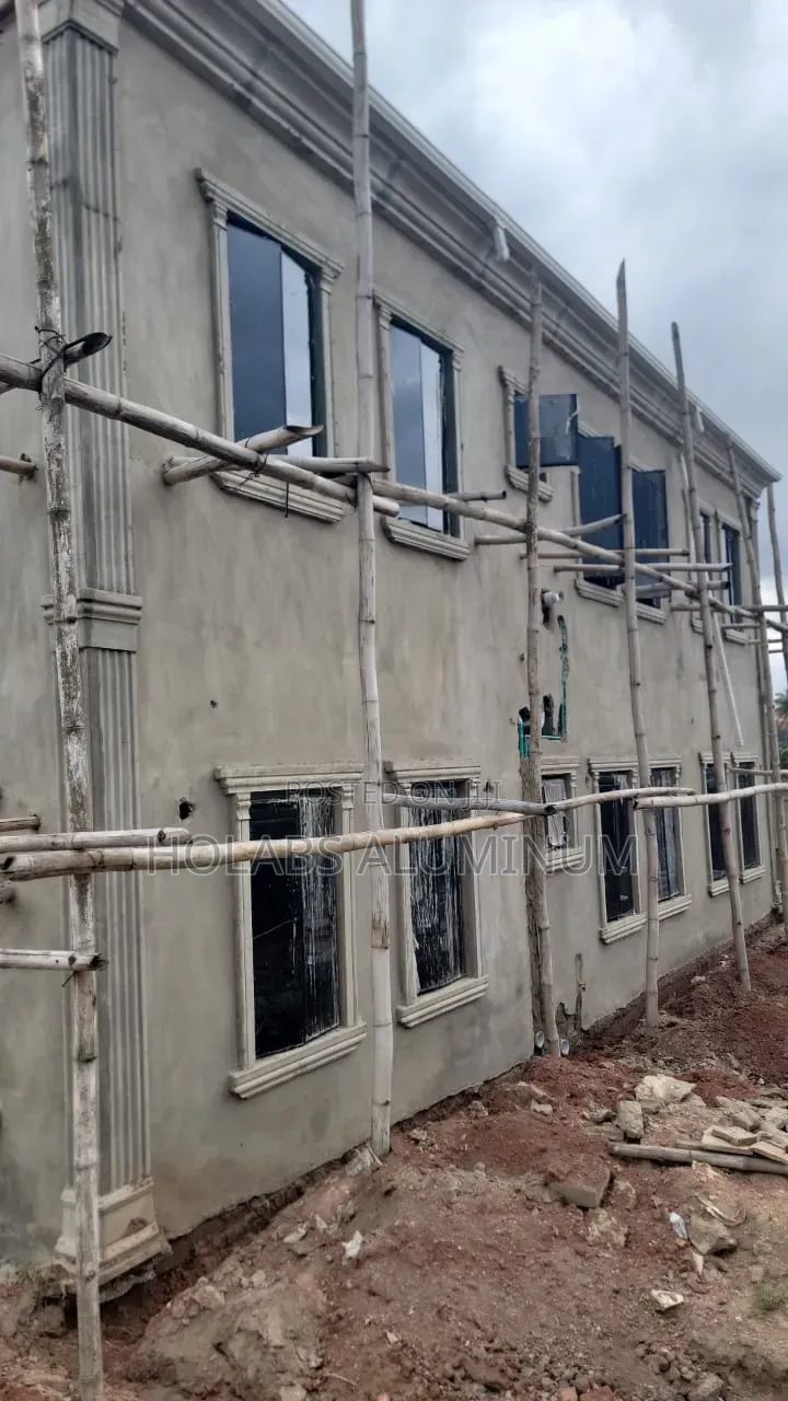 Transome Window With Buglary and Net