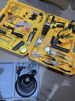 Pictured Dewalt 48V Cordless Drill and Multi-Functional Tool Kit Set