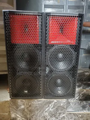 YES Professional Audio Dual-Woofer Passive PA Loudspeaker. Thunder