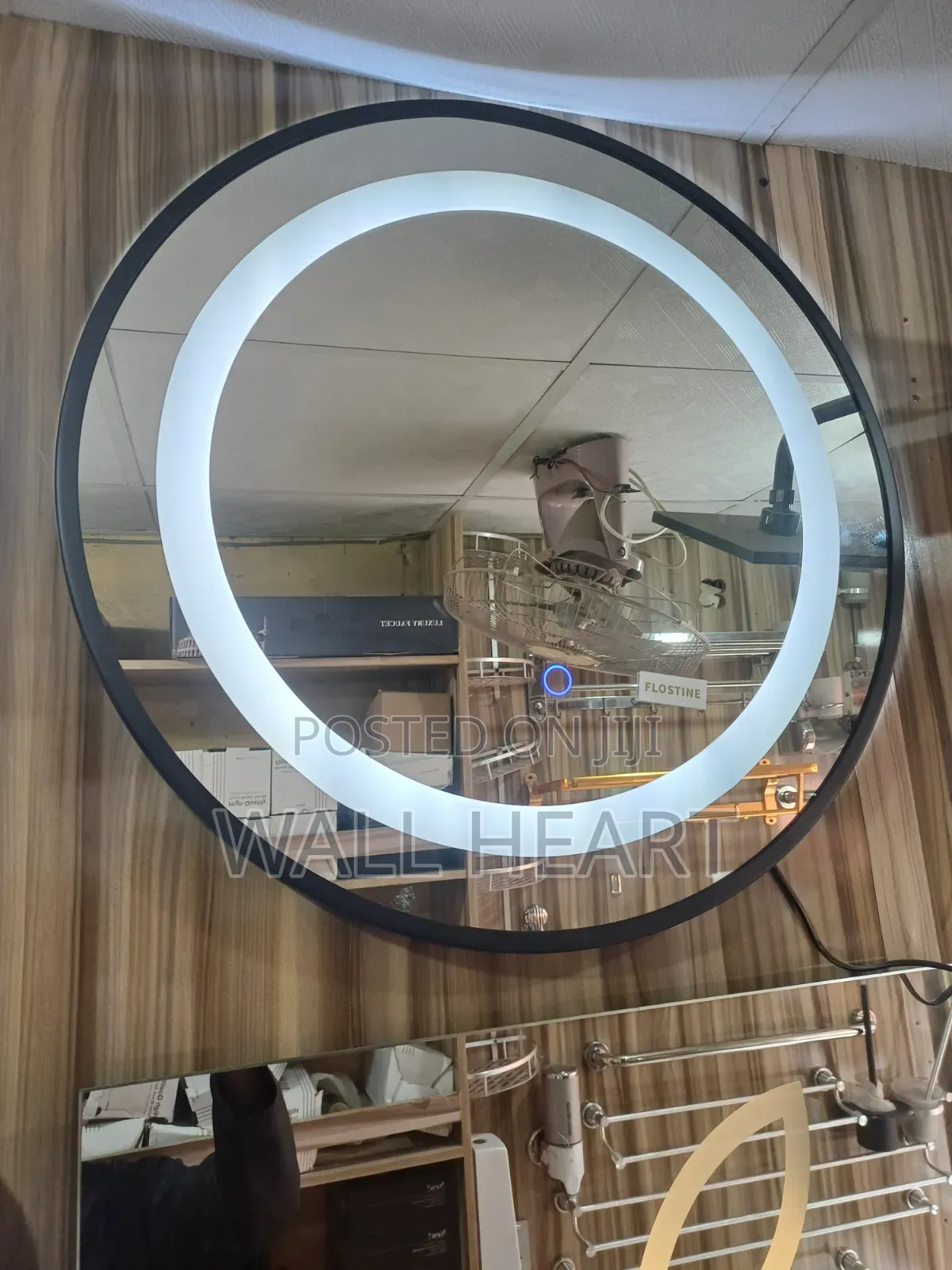 Tolet Mirror