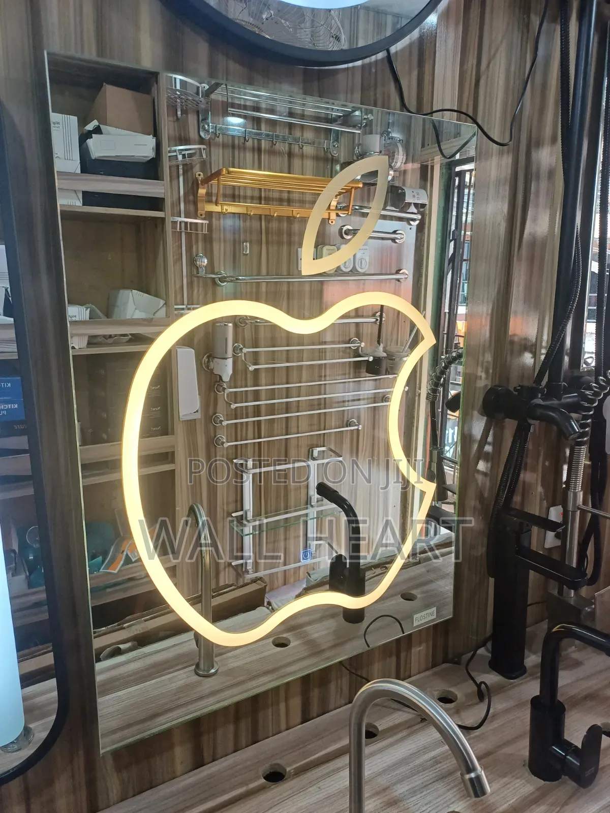 Tolet Mirror