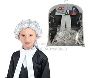Lawyer Costume for Career Day