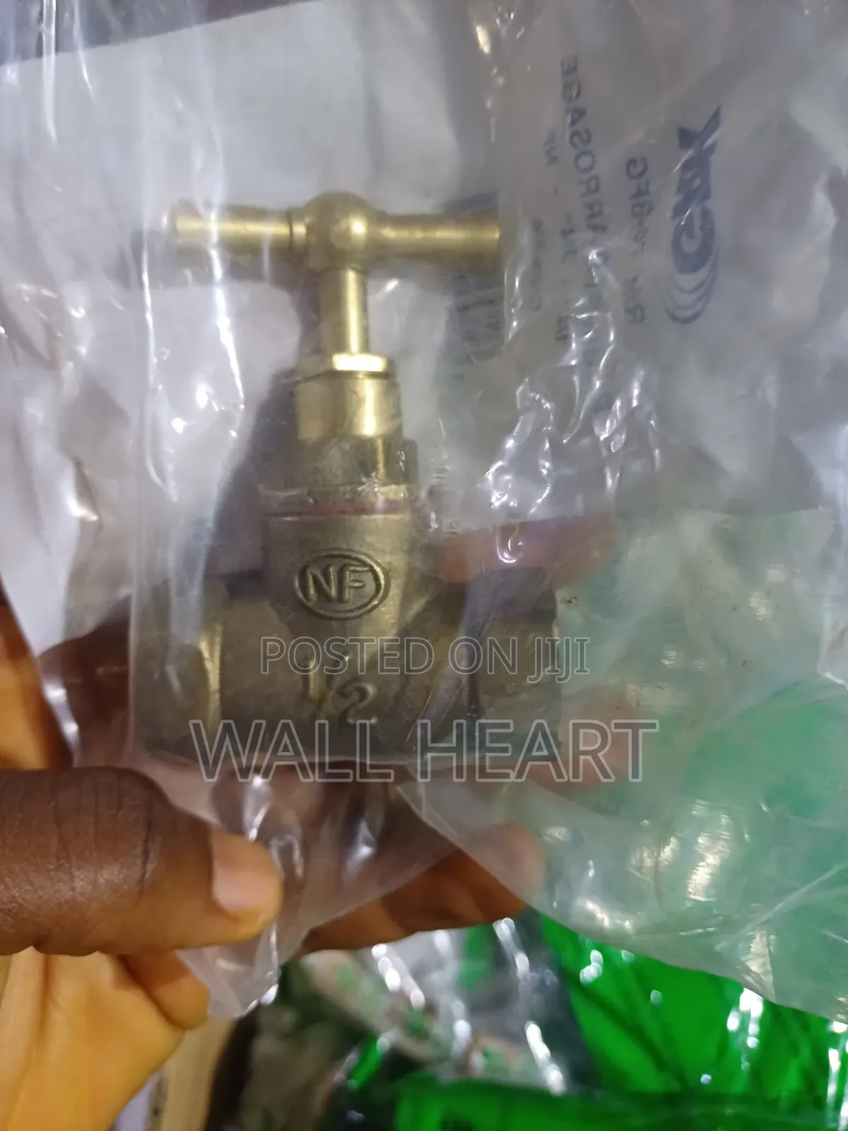 Non Return Valve