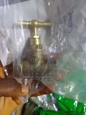 Non Return Valve