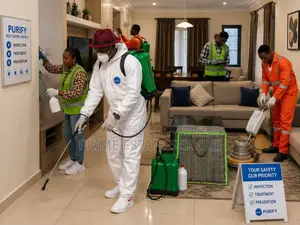 Professional Cleaning Service