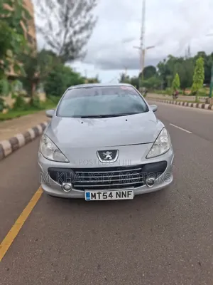 Peugeot 307 2006 Silver